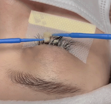 info-367-345 info-367-345